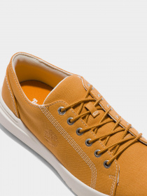 Кеды низкие Timberland Seneca Bay модель TB0A5P48763 Фото