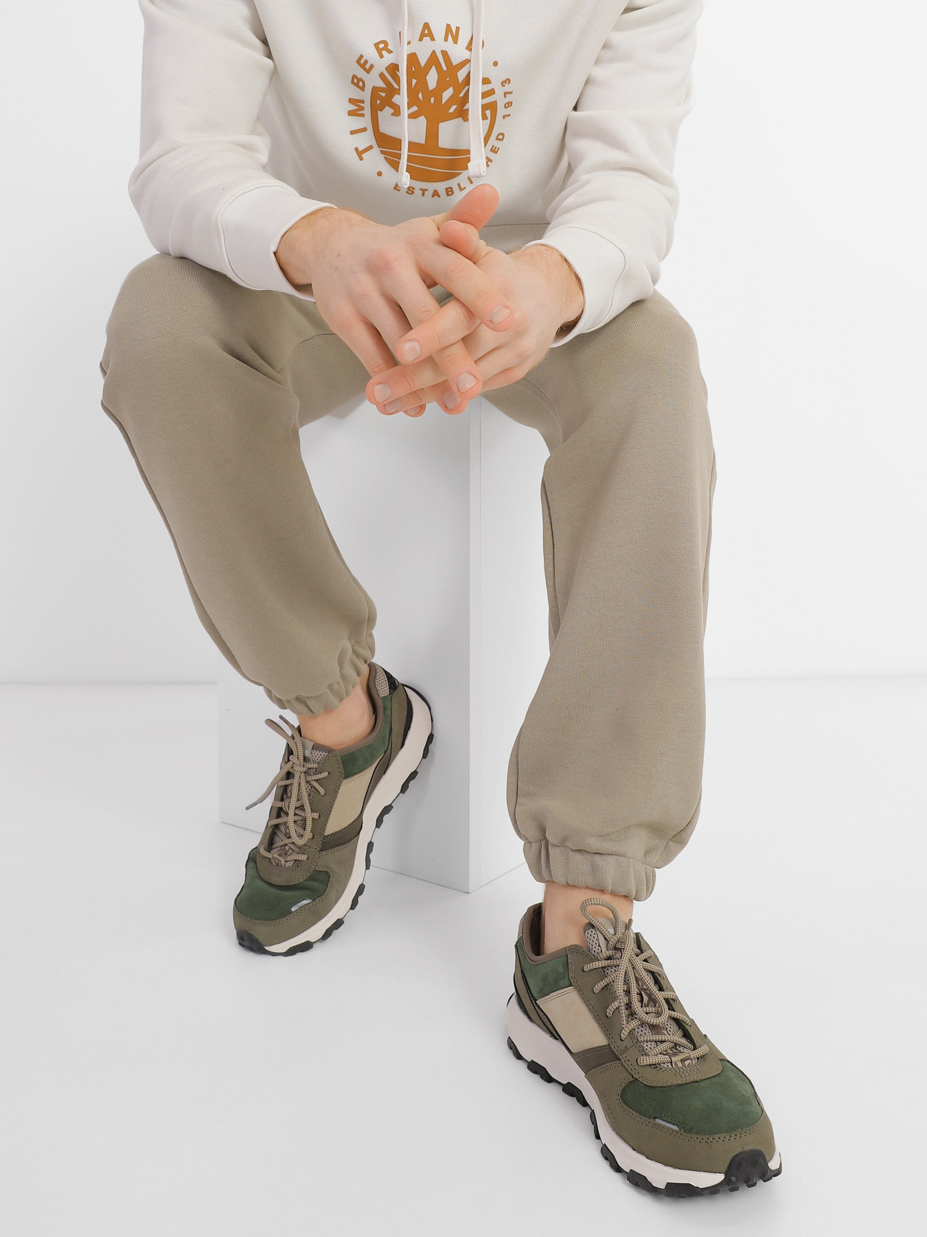 Кроссовки Timberland Winsor Park модель TB0A5WYG991 Фото