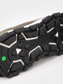 Кроссовки Timberland Winsor Park модель TB0A5WYG991 Фото