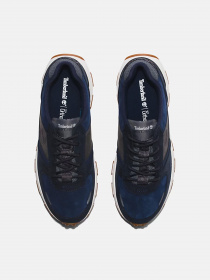 Кроссовки Timberland Winsor Park модель TB0A5YDR019 Фото