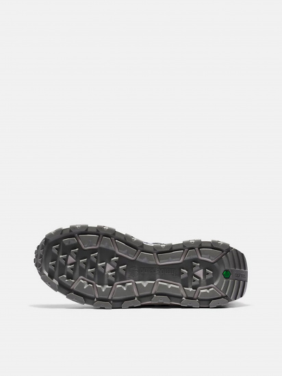 Кросівки Timberland Winsor Trail модель TB0A5WDC085 — фото 4 - INTERTOP