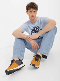 Кроссовки повседневные Timberland Winsor Trail модель TB0A5TRV231 Фото