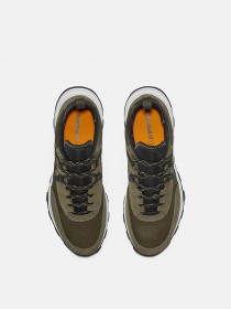 Кросівки повсякденні Timberland Treeline модель TB0A65DMA58 Фото