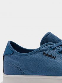 Кеды низкие Timberland Skape Park Tencel Ox модель TB0A5U1NDJ5 Фото