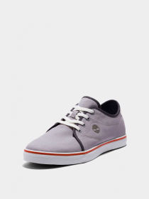 Кеды низкие Timberland Skape Park Canvas VulcOx Basic модель TB0A5U3H050 Фото