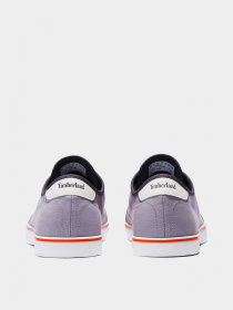 Кеды низкие Timberland Skape Park Canvas VulcOx Basic модель TB0A5U3H050 Фото