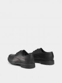 Туфли Timberland модель TB05549R001 Фото