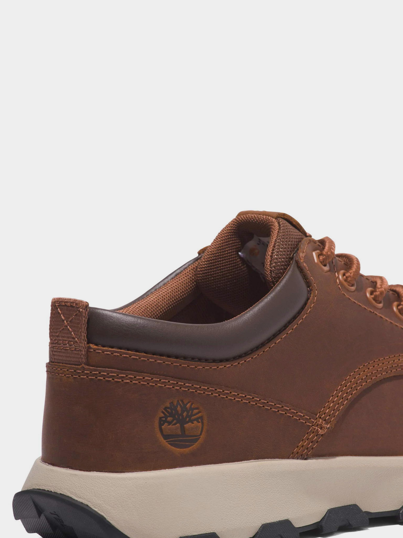 Кроссовки Timberland GreenStride™ Winsor Park Trainer модель TB0A5YD5F13 Фото