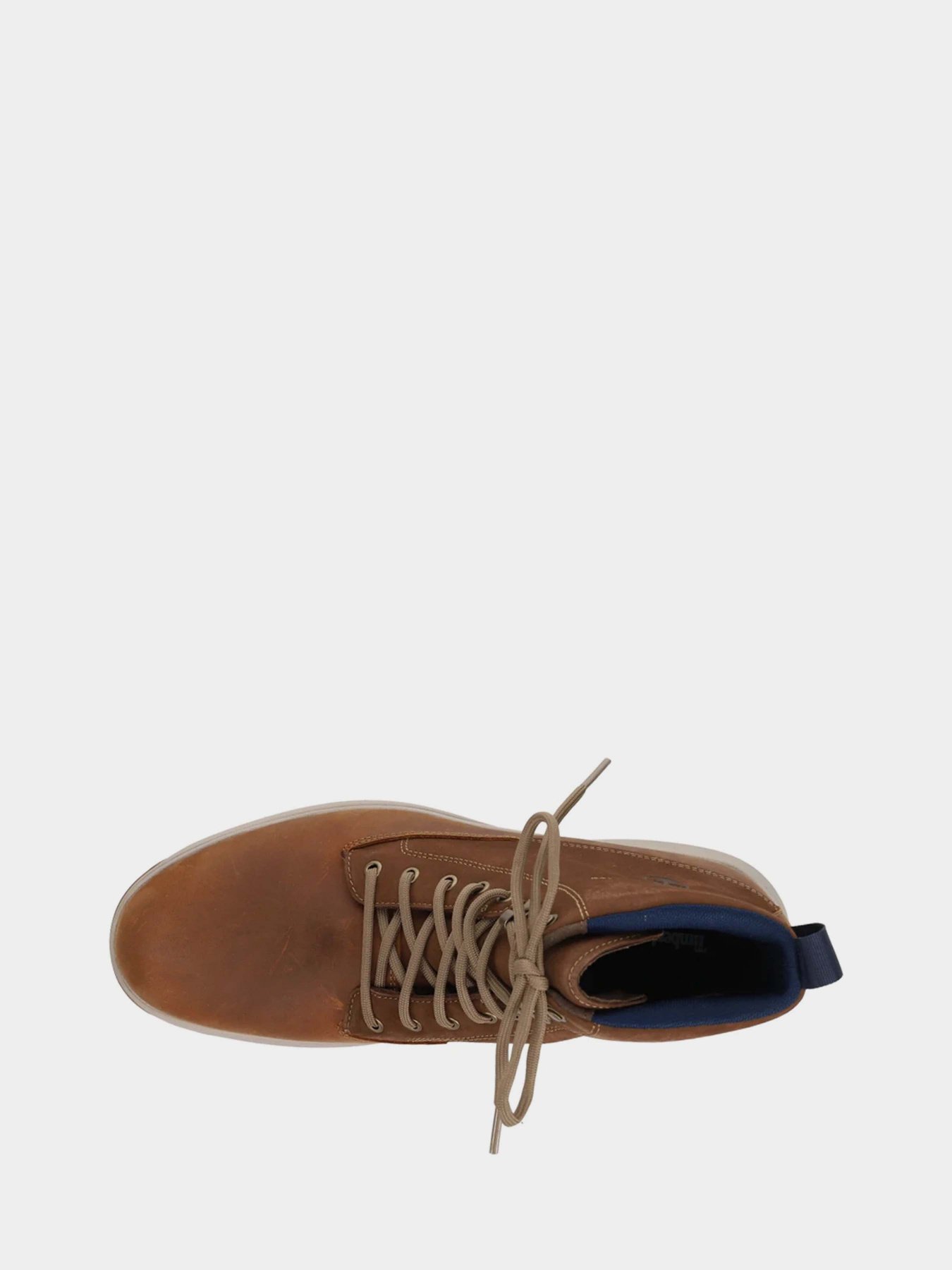 Ботинки Timberland Atwells Ave Waterproof модель TB0A43TNF13 Фото