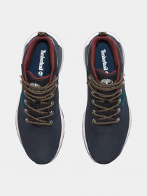 Ботинки Timberland Field Trekker модель TB0A652Z019 Фото