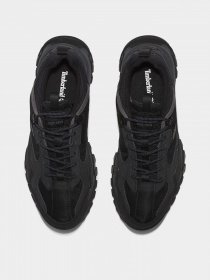 Кроссовки Timberland Lincoln Peak Gore-Tex® Hiker модель TB0A44DK015 Фото