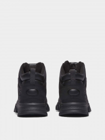 Ботинки Timberland Waterproof Mount Lincoln Mid Hiker модель TB0A61NM015 Фото