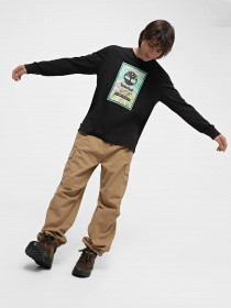 Черевики Timberland Sprint Trekker Waterproof Hiking модель TB0A61SC327 Фото