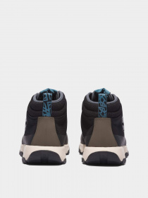 Ботинки Timberland Winsor Trail Waterproof Hiker модель TB0A6224015 Фото