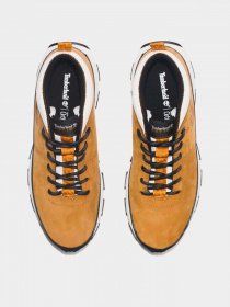 Ботинки Timberland WINSOR TRAIL модель TB0A5TWV231 Фото