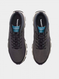 Черевики Timberland Winsor Trail Hiking Trainer модель TB0A613G033 Фото