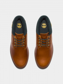 Ботинки Timberland Newman Waterproof модель TB0A5WJH358 Фото