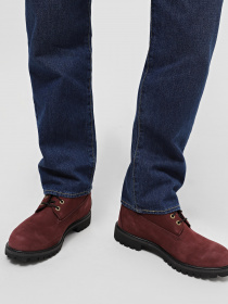 Ботинки Timberland Premium 6-Inch Waterproof модель TB0A5VB5C60 Фото