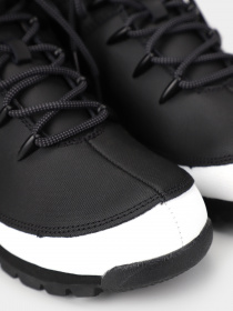 Ботинки Timberland Euro Sprint модель TB0A5VZD001 Фото