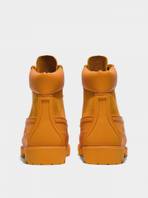 Черевики Timberland Heritage 6 модель TB0A5R3G804 Фото