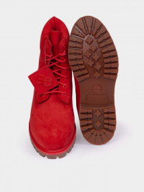 Ботинки Timberland Premium 6-Inch Waterproof модель TB0A5VEWDV8 Фото