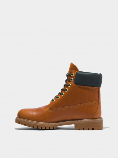 Черевики Timberland Premium 6-Inch Waterproof модель TB0A5VFH358 — фото - INTERTOP