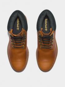 Черевики Timberland Premium 6-Inch Waterproof модель TB0A5VFH358 Фото