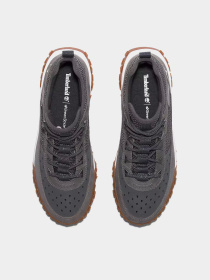 Ботинки Timberland GREENSTRIDE MOTION 6 модель TB0A6A98Y55 Фото