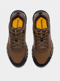 Кроссовки повседневные Timberland Lincoln Peak Lite модель TB0A5QFB968 Фото