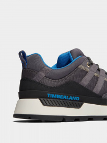 Кроссовки повседневные Timberland Euro Trekker Lace-Up Low Trainer модель TB0A5SMMW08 Фото