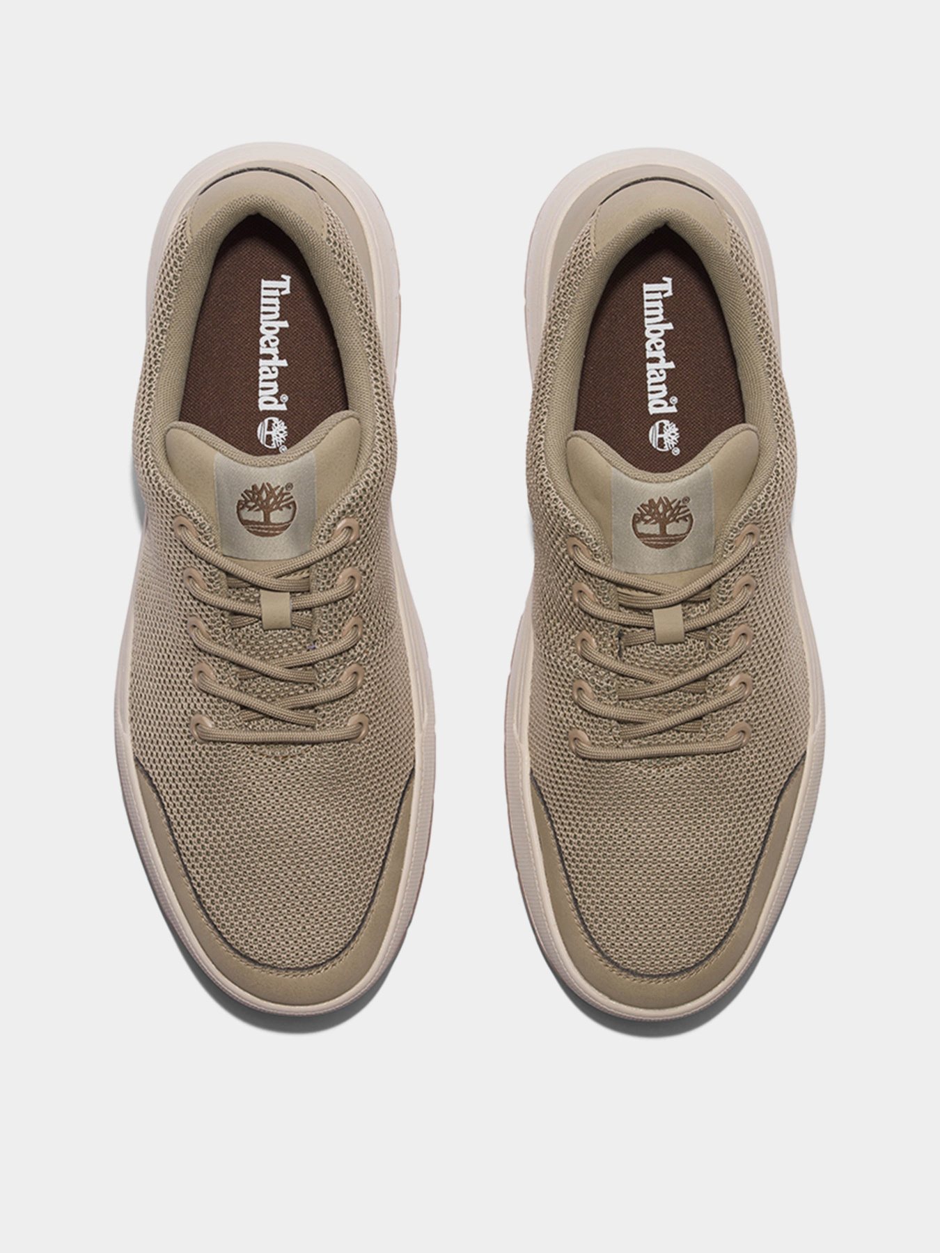 Кросівки повсякденні Timberland Maple Grove модель TB0A66H9EY4 Фото