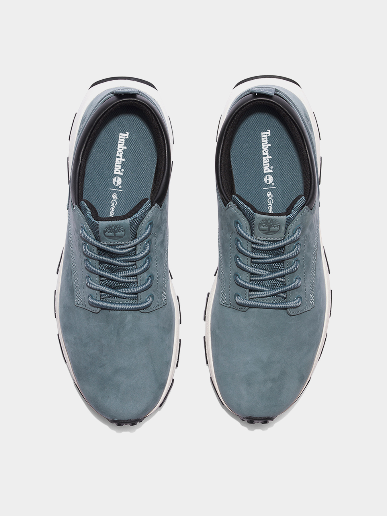 Кросівки повсякденні Timberland Winsor Park Plain Toe модель TB0A68H1ES2 Фото