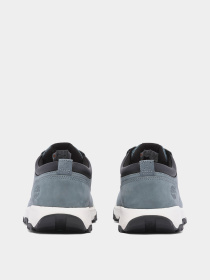 Кросівки повсякденні Timberland Winsor Park Plain Toe модель TB0A68H1ES2 Фото