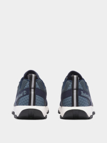 Кроссовки повседневные Timberland Winsor Trail Mesh модель TB0A6B79EP6 Фото