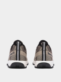 Кроссовки Timberland Winsor Trail Mesh модель TB0A6BESEAB Фото