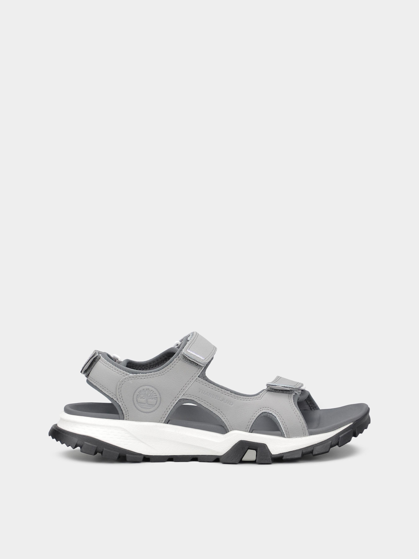 Сандалии Timberland Lincoln Peak 2 Strap модель TB0A6AXUEBC Фото