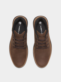 Ботинки Timberland HUDSON ROAD GTX модель TB0A6A8NW07 Фото