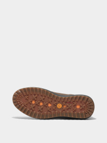 Ботинки Timberland HUDSON ROAD GTX модель TB0A6A8NW07 Фото