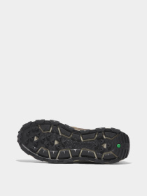 Кроссовки Timberland Winsor Park Low Lace-Up модель TB0A69N9W07 Фото