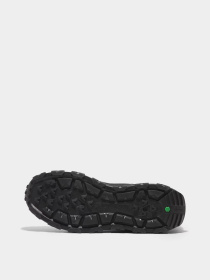 Кроссовки Timberland Winsor Trail модель TB0A41W7EK9 Фото