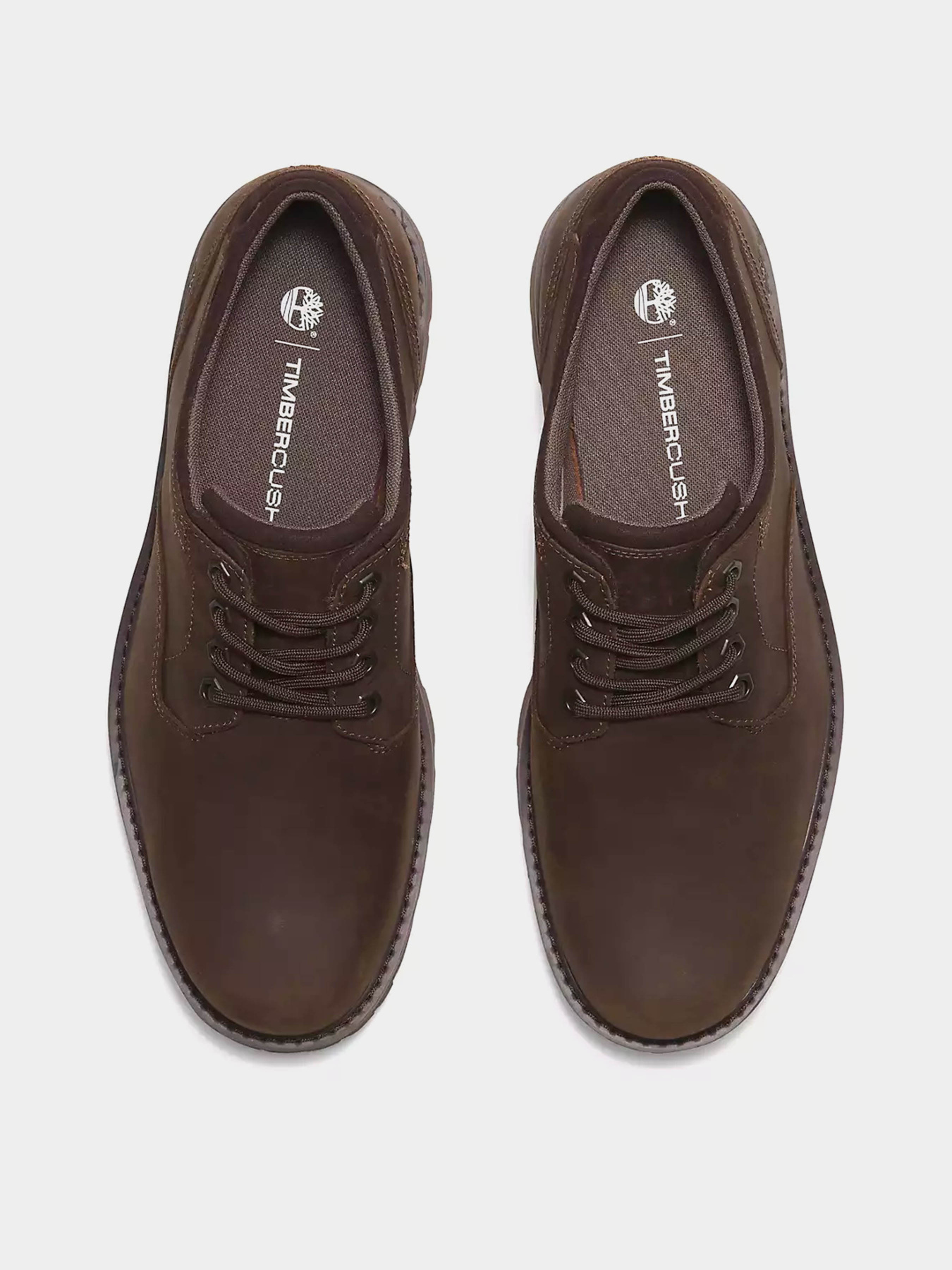 Туфли Timberland BRITTON ROAD WATERPROOF модель TB0A69T9W01 Фото