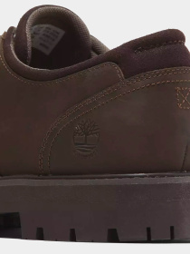 Туфли Timberland BRITTON ROAD WATERPROOF модель TB0A69T9W01 Фото