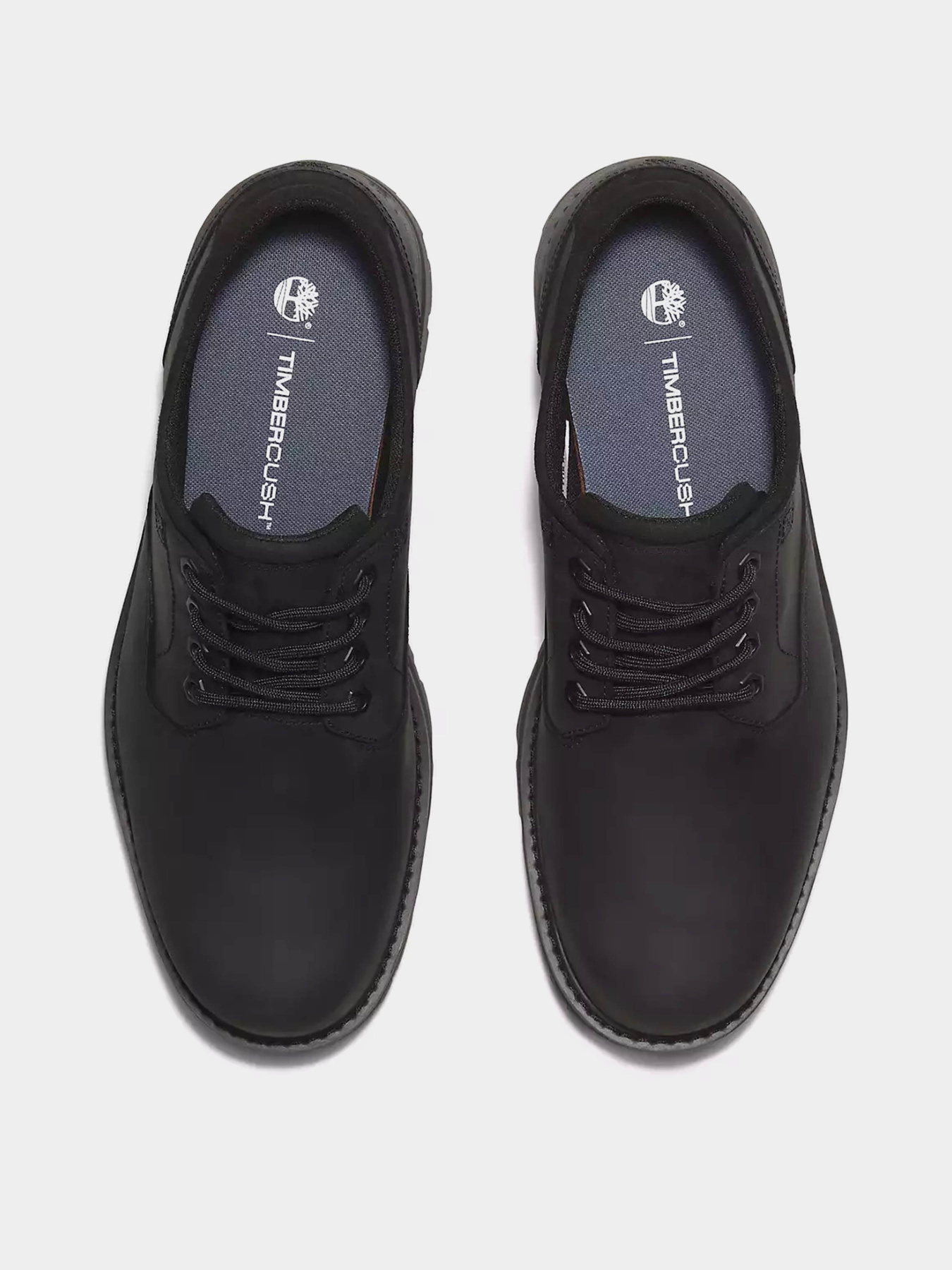 Туфли Timberland BRITTON ROAD WATERPROOF модель TB0A69T9W02 Фото