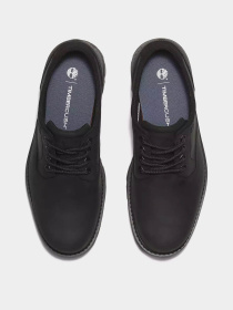 Туфли Timberland BRITTON ROAD WATERPROOF модель TB0A69T9W02 Фото