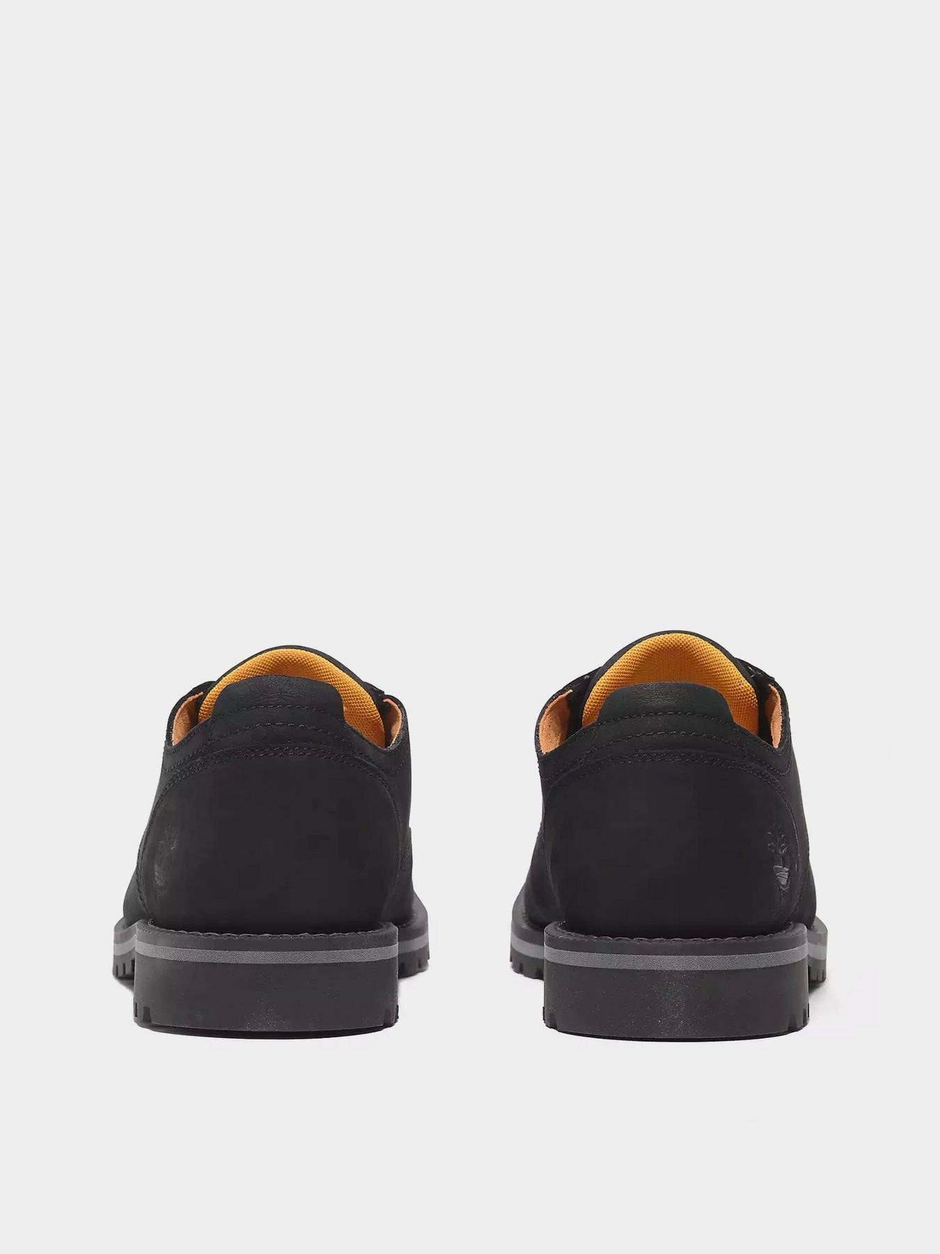 Туфлі Timberland REDWOOD FALLS WATERPROOF модель TB0A699PW05 Фото