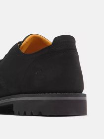 Туфлі Timberland REDWOOD FALLS WATERPROOF модель TB0A699PW05 Фото