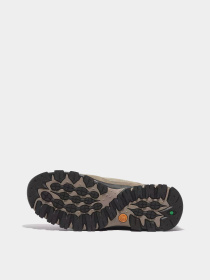 Черевики Timberland Mt. Maddsen Mid Lace-Up Waterproof Hiking Модель TB0A6CH5EMI Фото