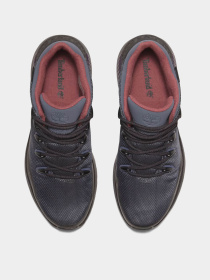 Ботинки Timberland SPRINT TREKKER WATERPROOF модель TB0A6CRBEJK Фото