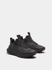 Кроссовки Timberland Motion Access модель TB0A6DJKENQ Фото