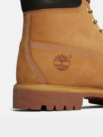 Черевики Timberland TIMBERLAND PREMIUM WATERPROOF модель TB110061713 Фото